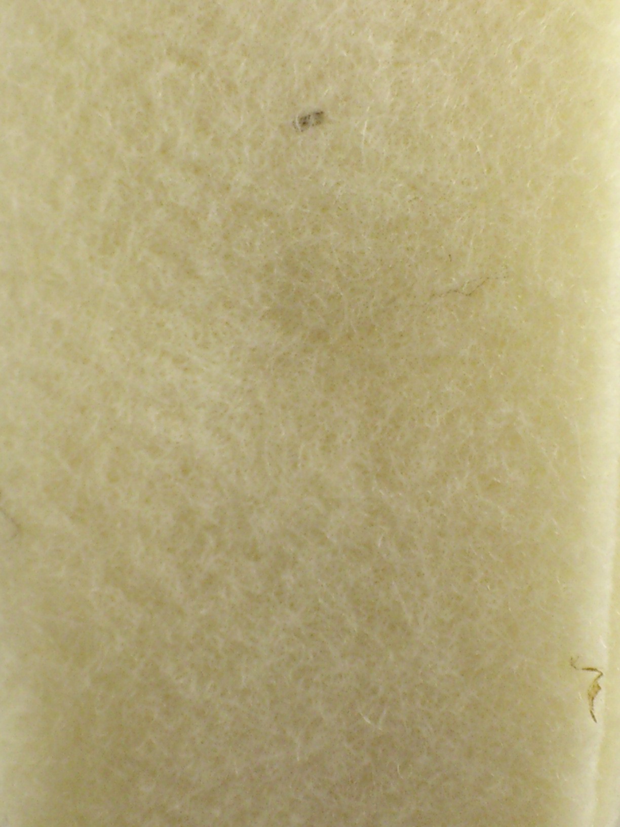 Felt wide 7.5 cm L= 5 m cream milk (WE04)